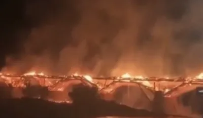 foto: skrin&scaron;ot video tviter - РИА Новости