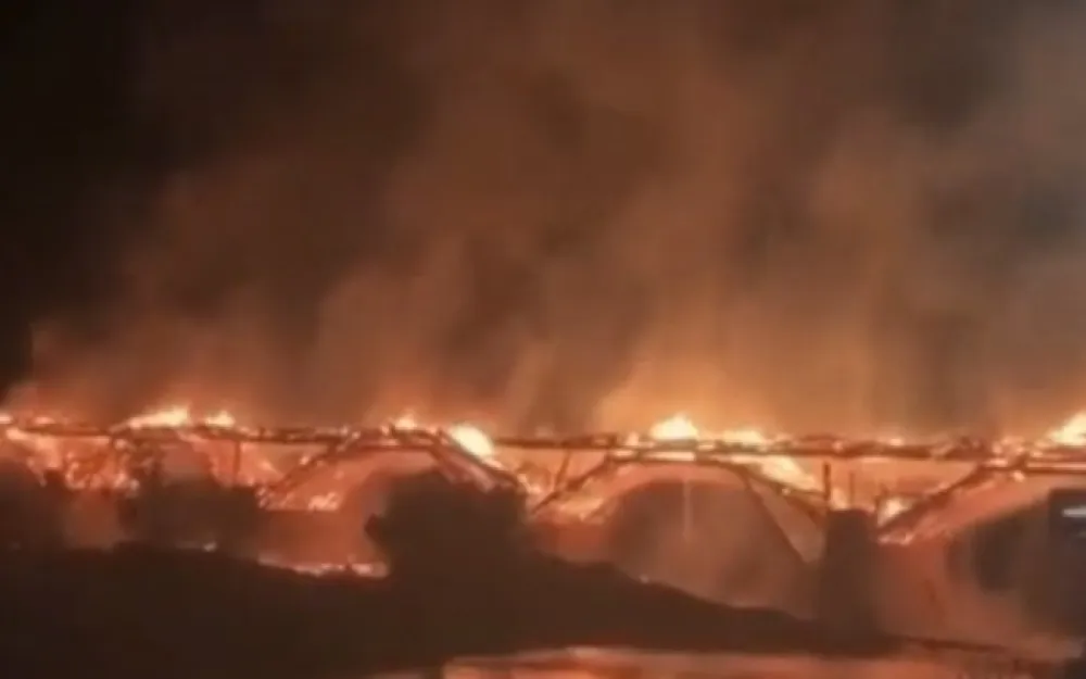 foto: skrin&scaron;ot video tviter - РИА Новости
