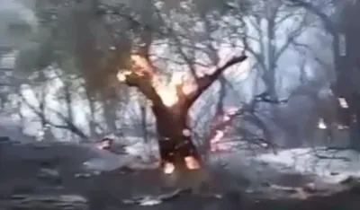 foto: skrin&scaron;ot podgorički vremplov