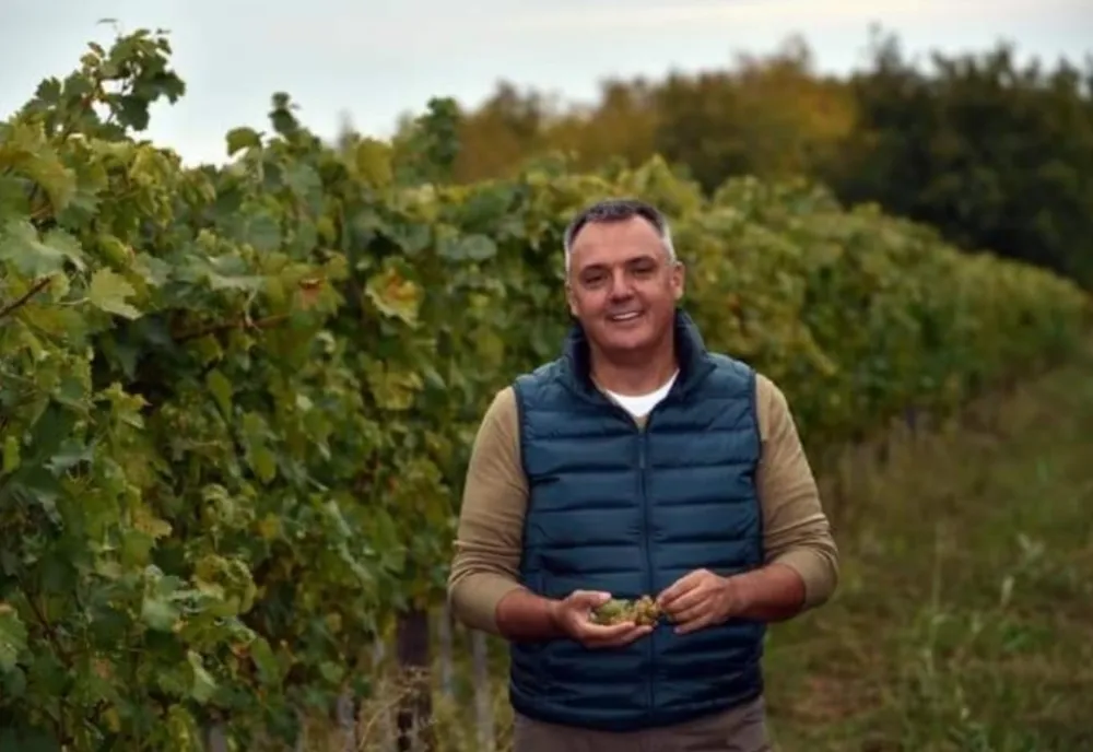 Ko hoće da zaradi brzo novac, neće da zalazi u vinogradastvo
