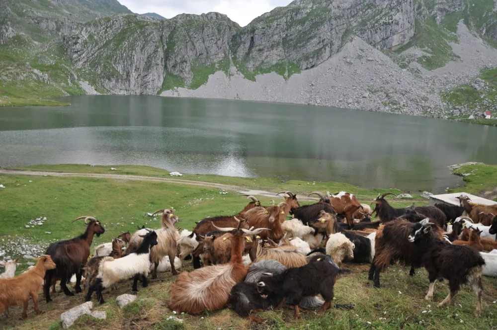 Капетаново језеро