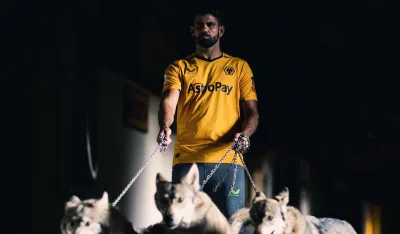Kosta i vukovi