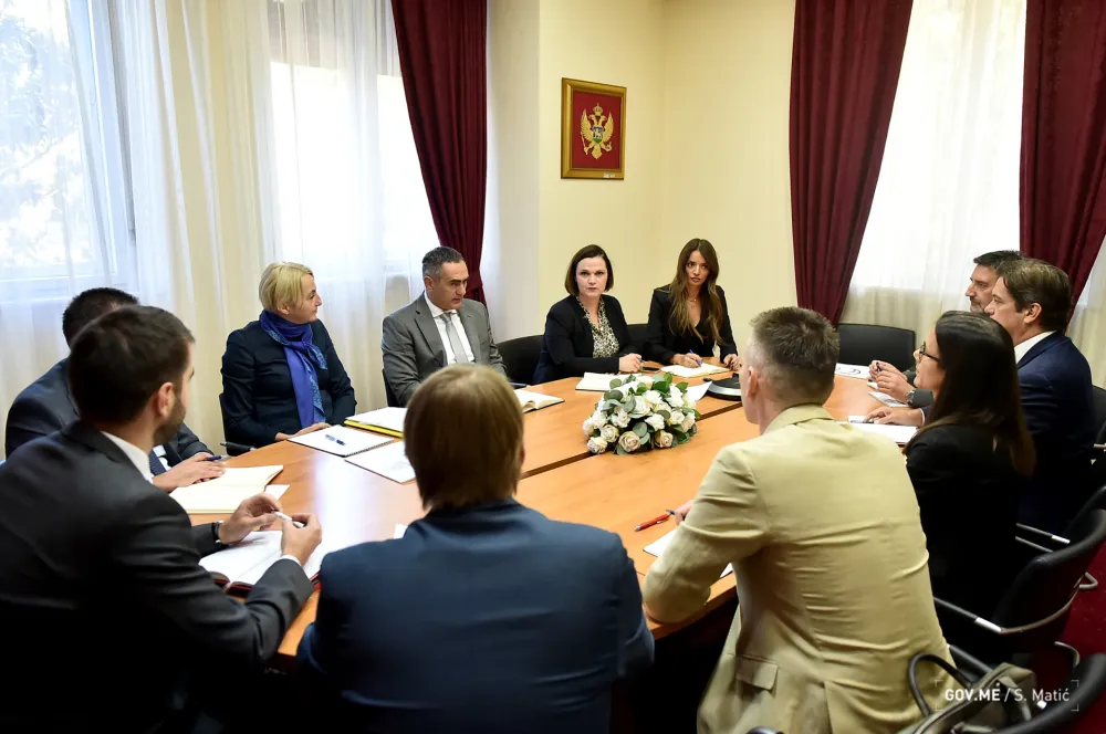 Damjanović: Neophodne mjere racionalizacije i prihodne i rashodne budžetske politike