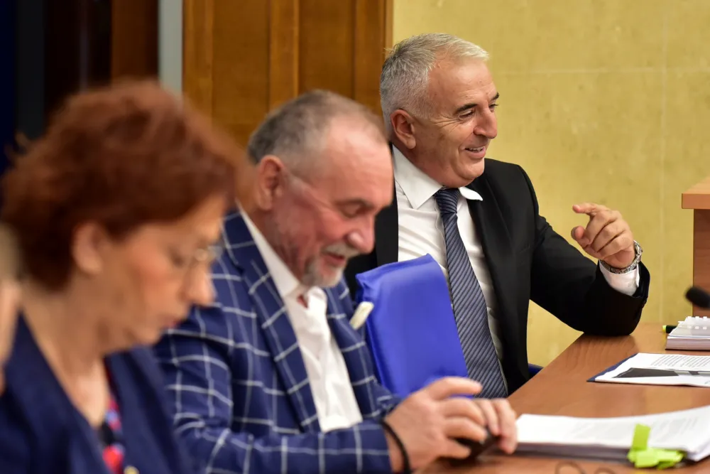 Odbor za ekonomiju, rebalans, Dejan Djurovic