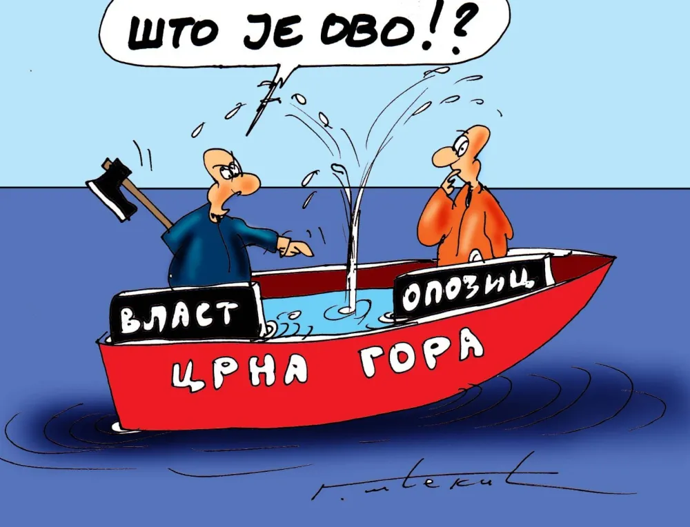 Карикатура: Горан Шћекић