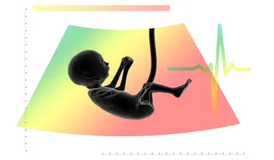 Ilustracija fetus