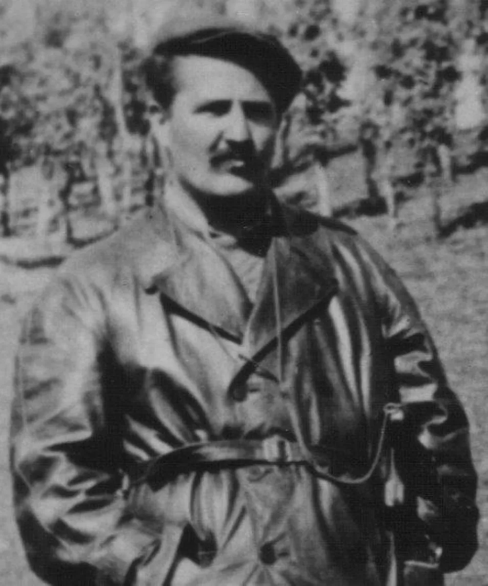 МИЛАДИН ПОПОВИЋ (ФОТО: ВИКИПЕДИЈА)