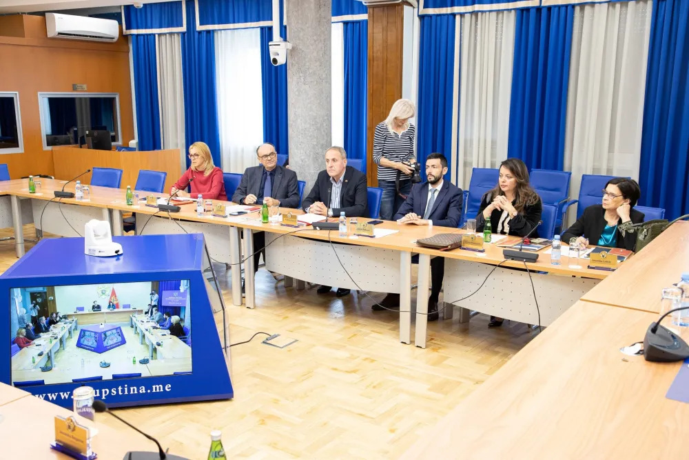 sjednica ustavnog odbora