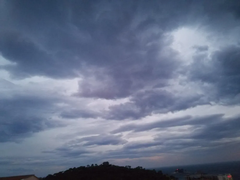 ILUSTARCIJA/ FOTO: B. GOLUBOVIĆ