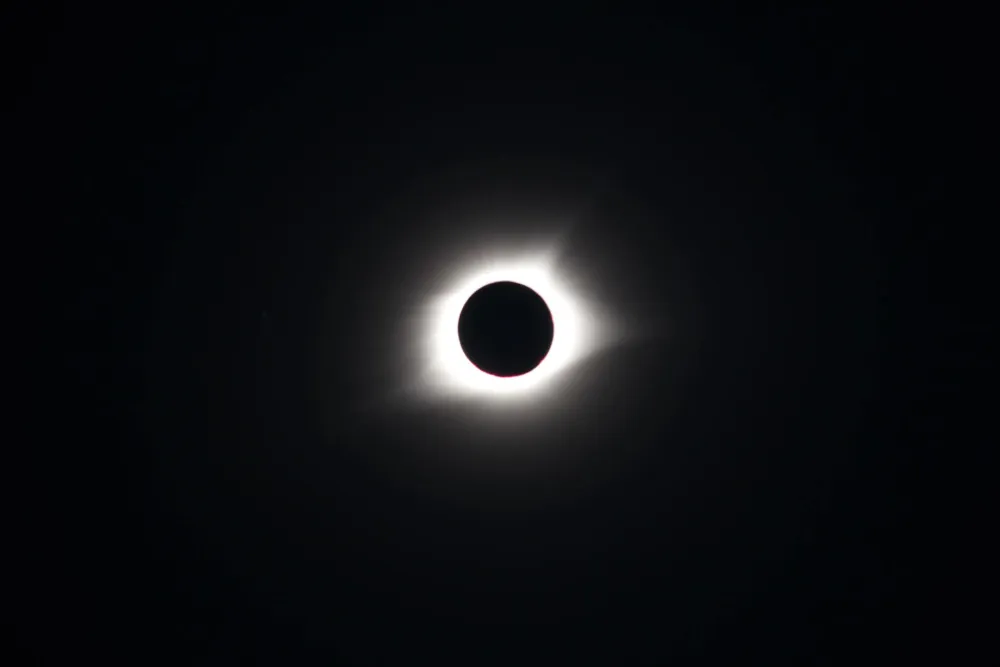 Photo by Ryan Olson on Unsplash