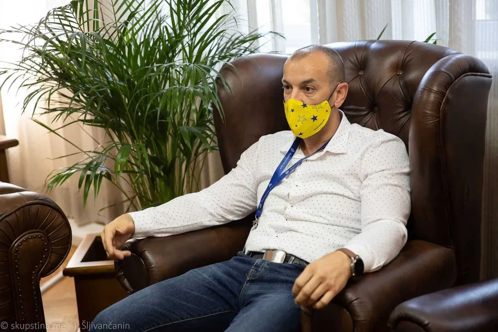 Владислав Вујковић