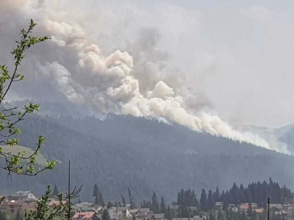 Izgoreli milioni u &scaron;umskom požaru u Rožajama, krivaca jo&scaron; nema
