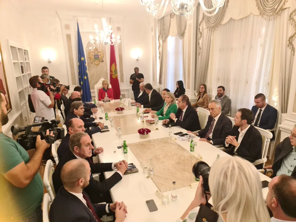 Sastanak sa predsjednicom Skup&scaron;tine
