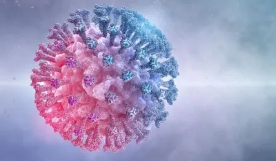 Korona virus