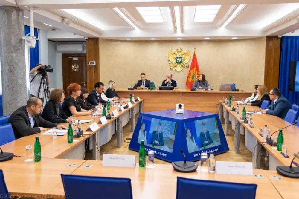 Održan sastanak Odbora za zdravstvo o liječenju osoba koje boluju od cistične fibroze