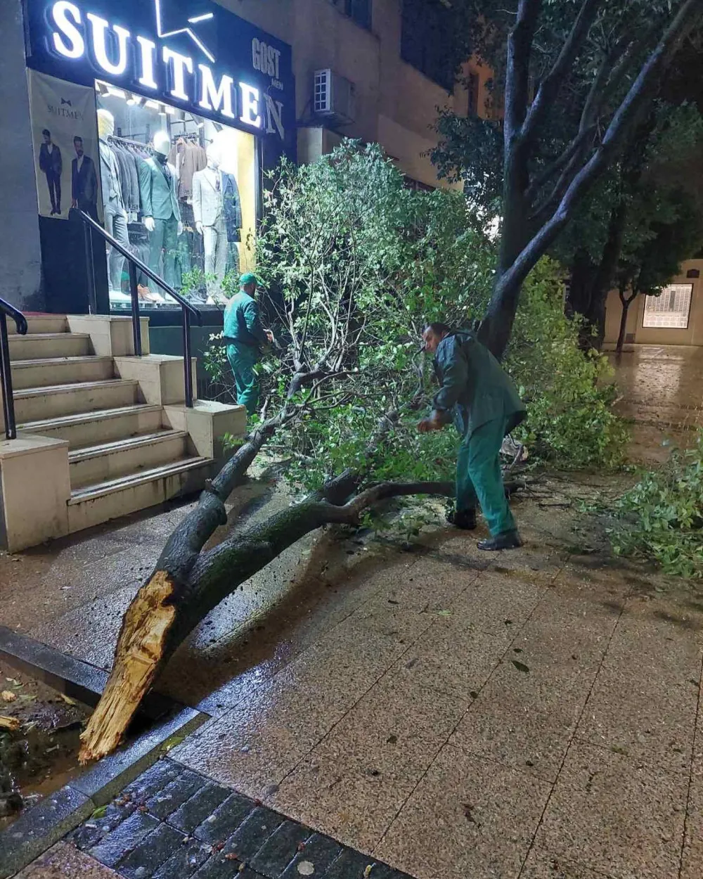 Nevrijeme, slomljeno drveće