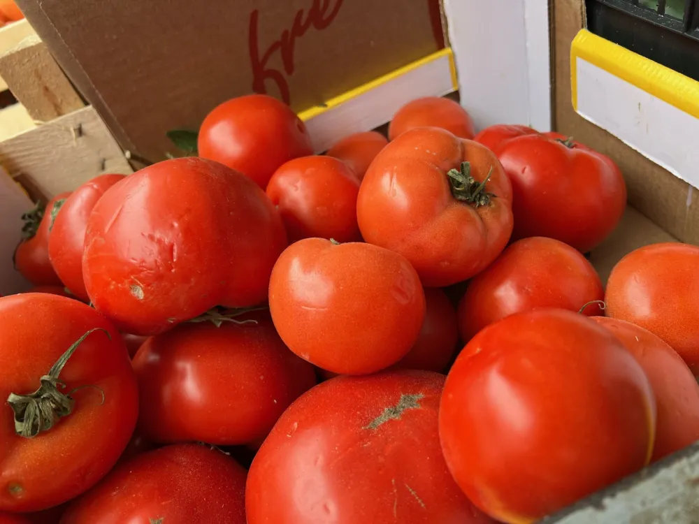Sve manje kupaca na Kamionskoj pijaci: Kilogram paradaјza 2,50 eura