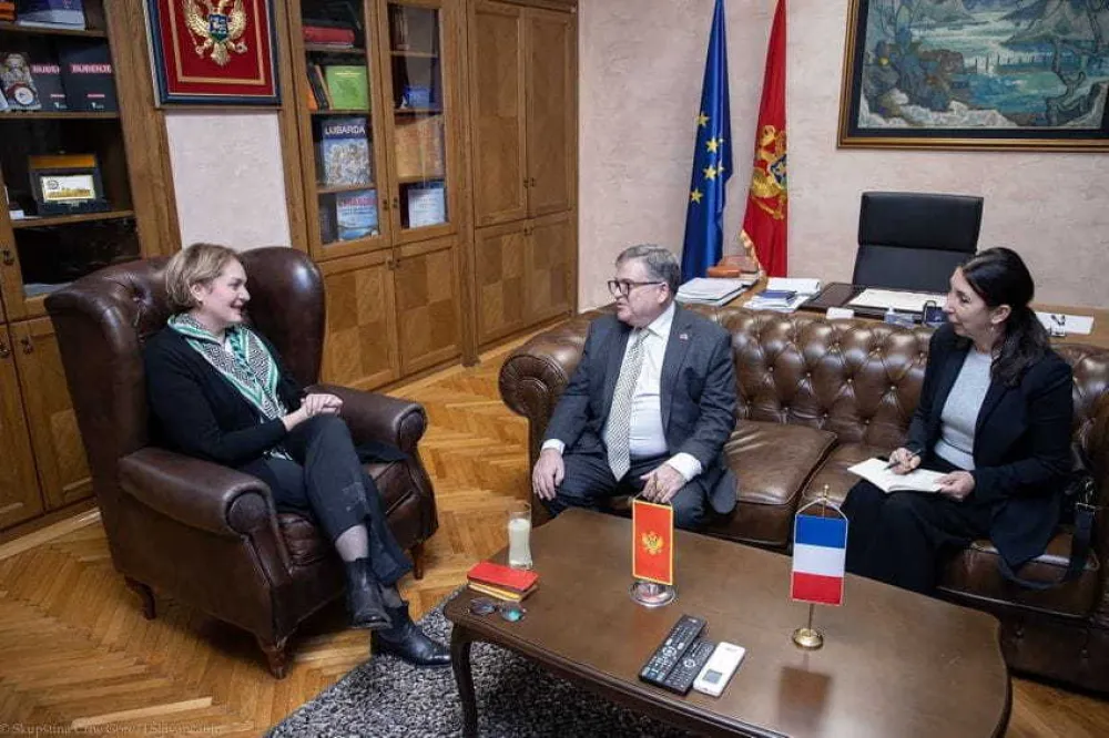 Bo&scaron;njak i Timonije: Očekivano da nakon 30 godina vlasti jedne partije dolazi do problema