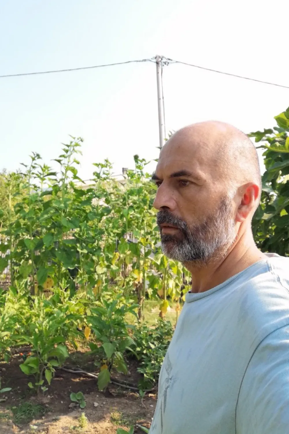 Put do pčelarskog uspjeha nije lak, ali je sladak