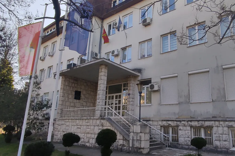 zavod za zaposljavanje crne gore