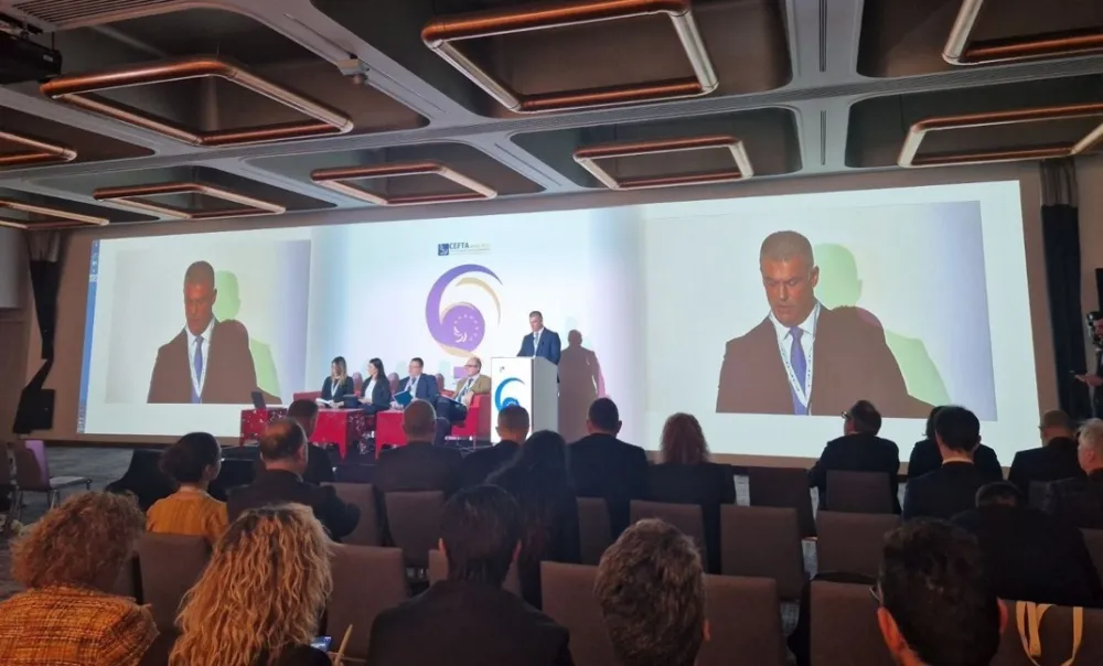 Bulajić: Vi&scaron;estruki benefiti integracije SEED sistema u IT infrastrukturu