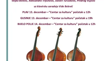 "Бассонегро" на сјеверу