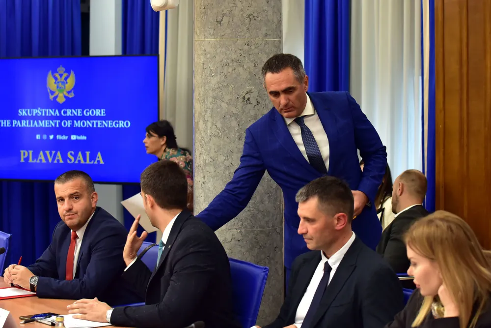 Odbor za ekonomiju, rebalans, Aleksandar Damjanovic