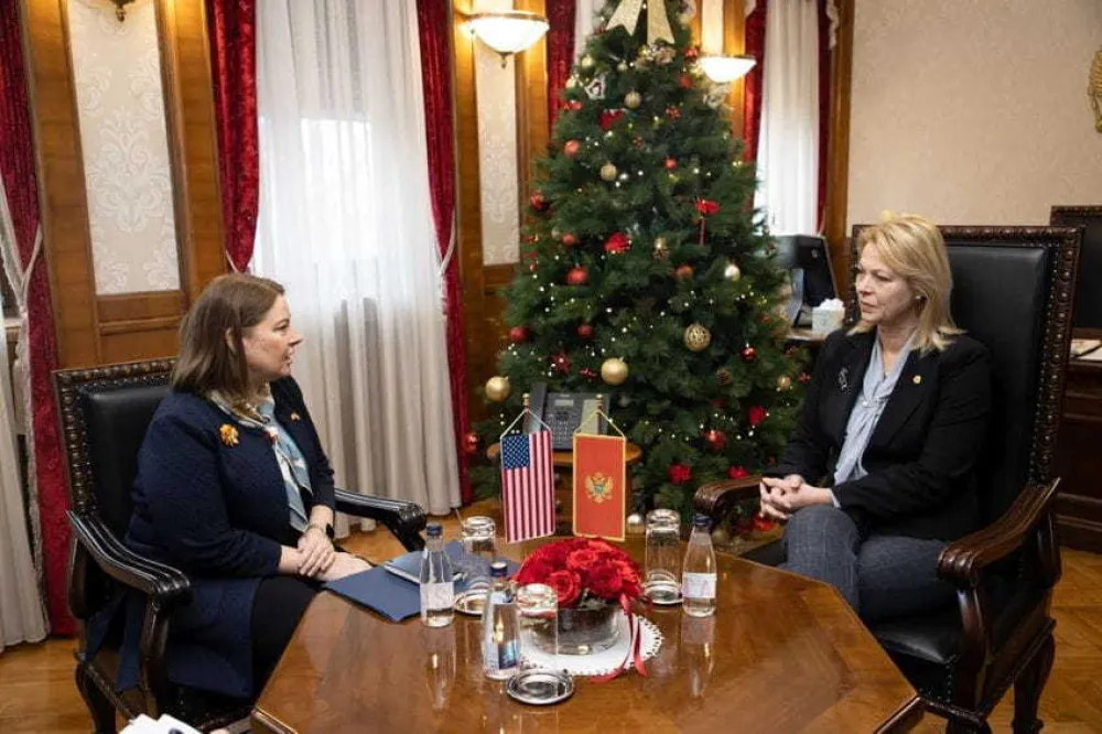 Rajnke i Đurović