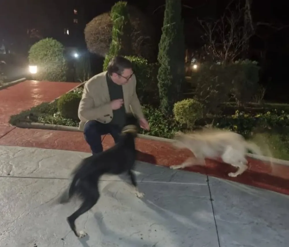 FOTO: Alkesandar Vučić, instagram