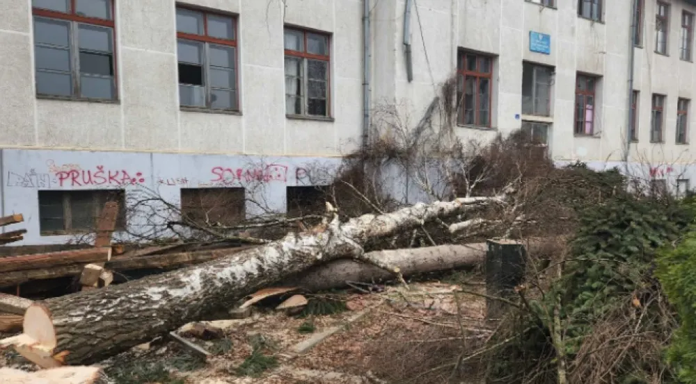 Izvor: NVO Euromost<br>