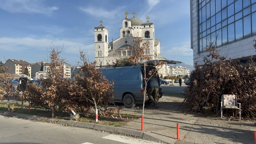 На сваком кораку продају бадњак