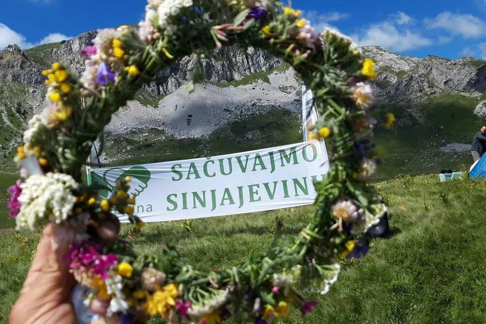 Vlada i Ministarstvo odbrane spremaju vježbu na Sinjajevini