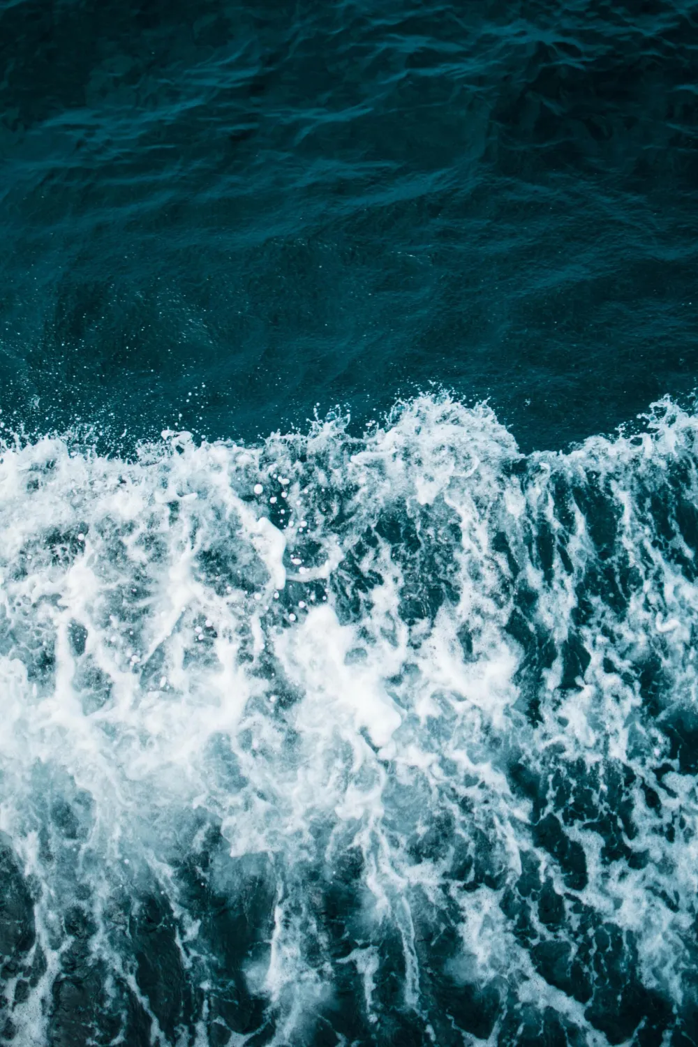 Unsplash, ilustracija