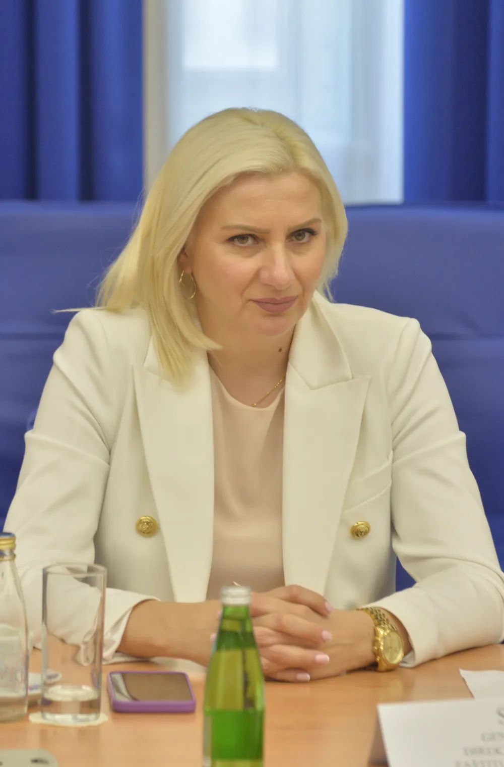 Odbor za zdravstvo, zasjedanje odbora za zdravstvo, Sladjana Coric, generalna direktorica direktorata za zdravstvenu zatitu
