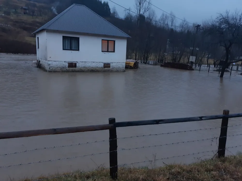 Riјeka Ljubovića napravila haos
