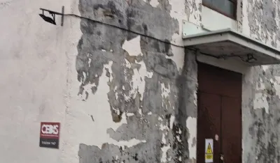 foto. Dan 