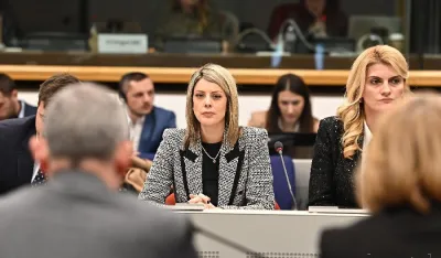Ana Novaković Đurović