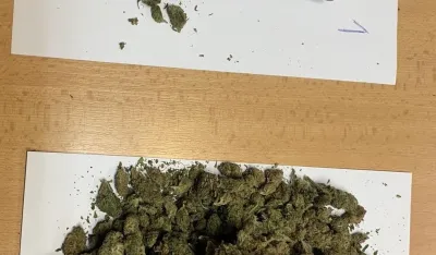 Oduzeta marihuana
