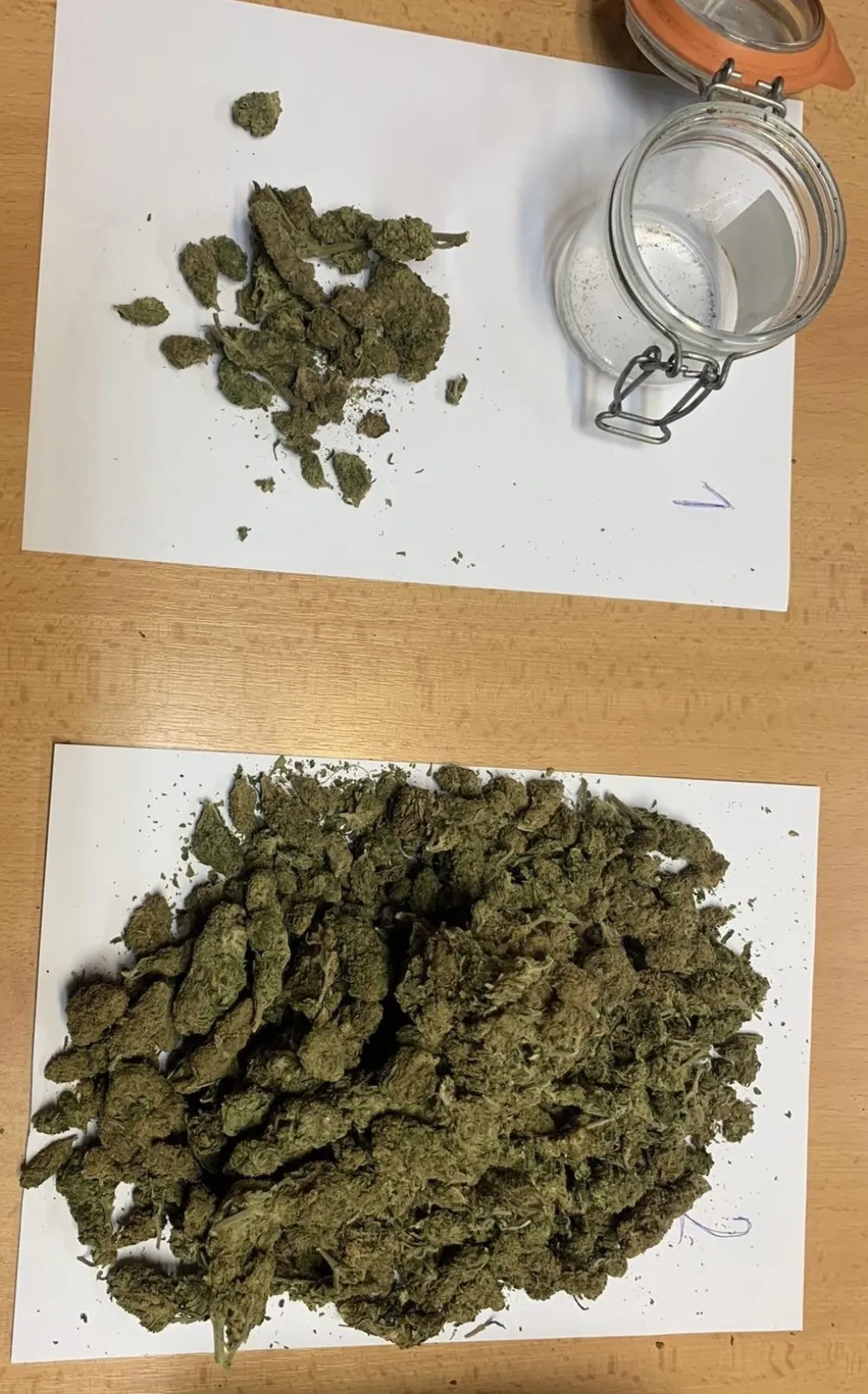 Oduzeta marihuana