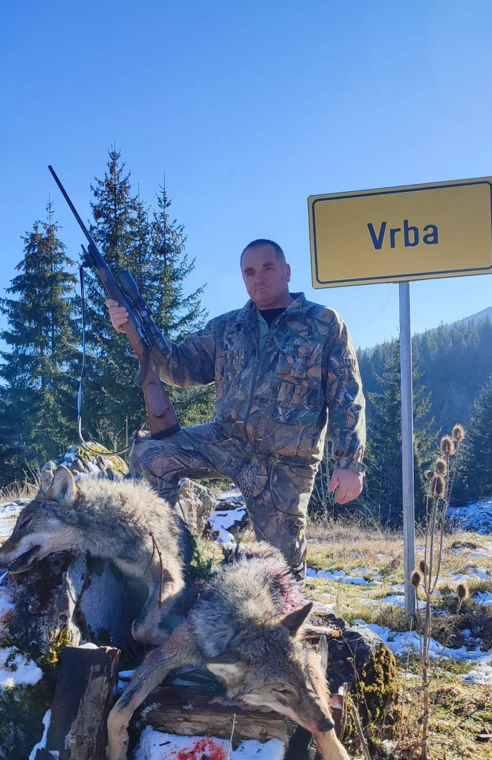 Pljevaljski lovci upozoravaju na &scaron;tetu: Vukovi rastrgli 25 lovačkih kerova