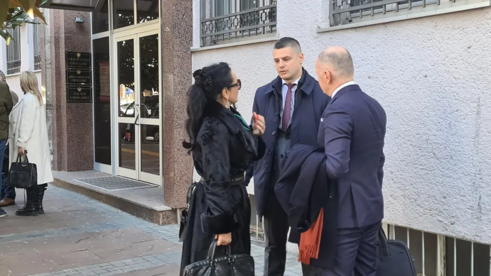 Vesna Medenica, kontrola optužnice