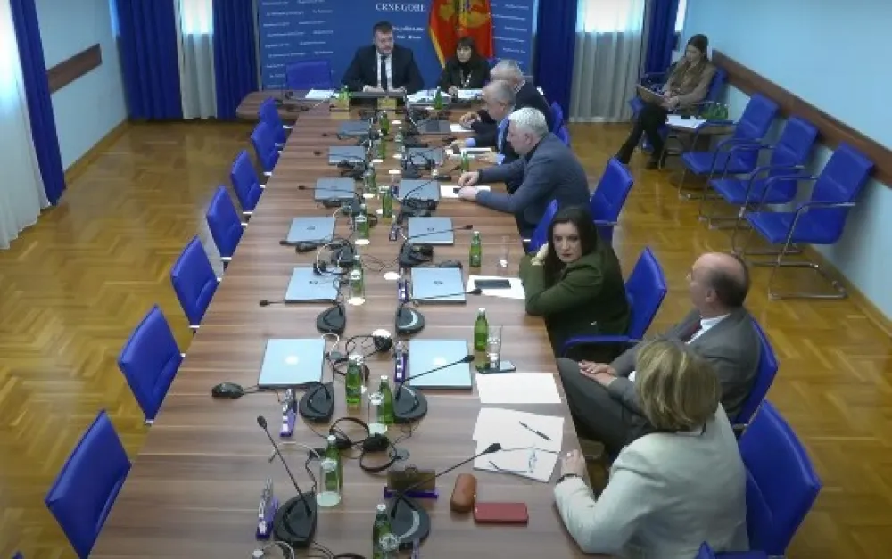 (VIDEO) Obaviće konsultativno saslu&scaron;anje o izmjenama Zakona o porijeklu imovine