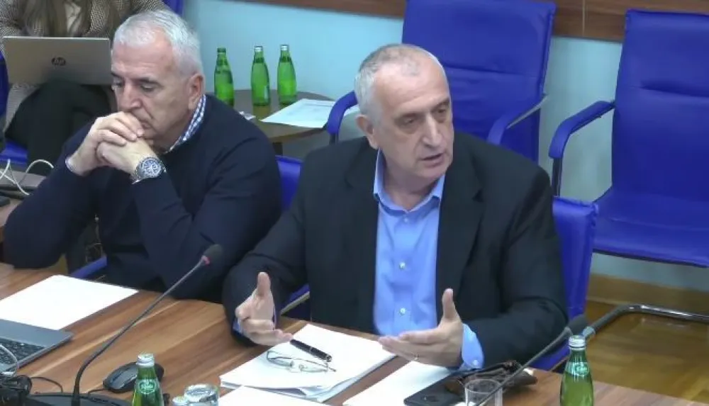 Predrag Bulatović