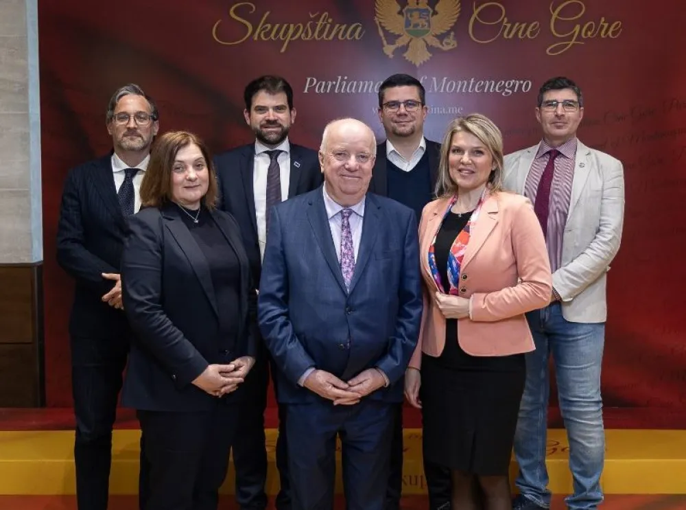 Vuksanović Stanković sa delegacijom PSSE