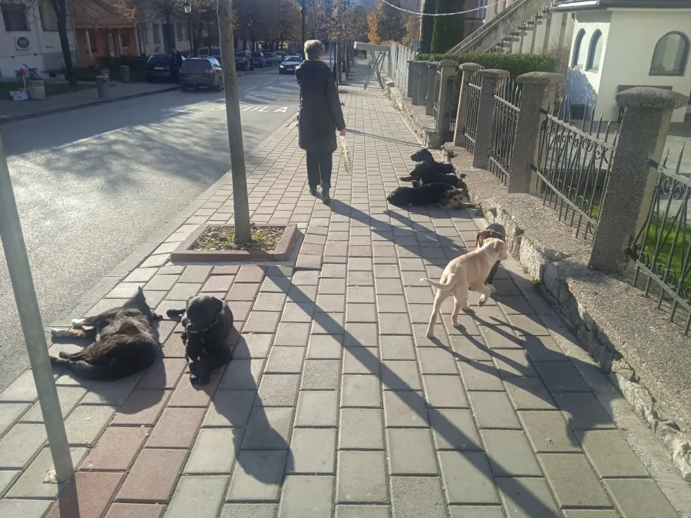 foto: B.Je