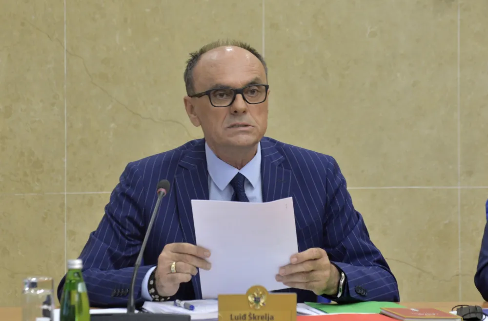 Sjednica Administrativnog odbora, Luidj Skrelja