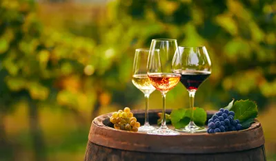 Ilustracija vino, alkohol, proizvodnja alkohola, grožđe
