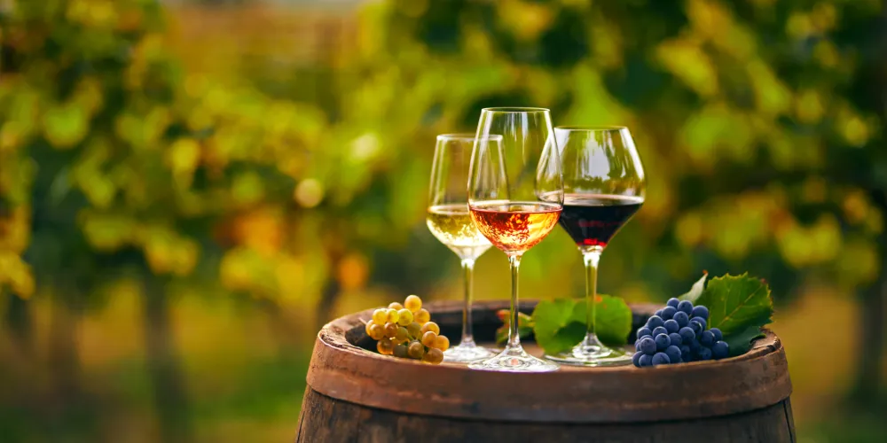 Ilustracija vino, alkohol, proizvodnja alkohola, grožđe