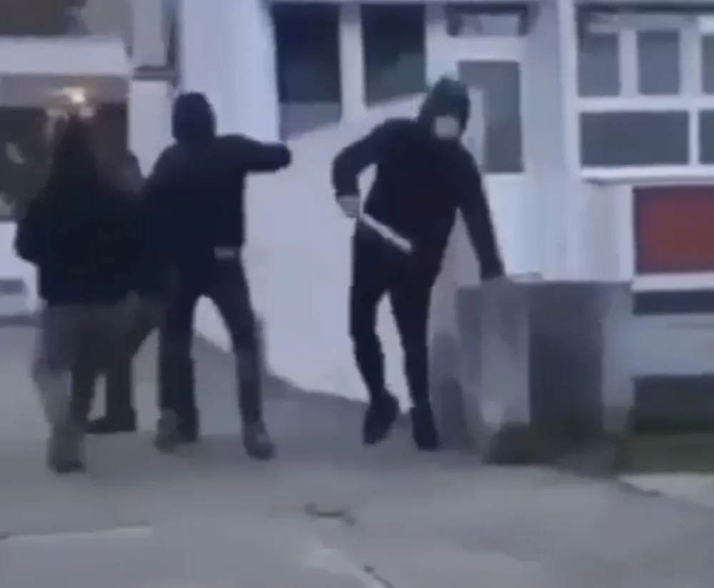  - SKRIN&scaron;OT, DRU&scaron;TVENE MREžE