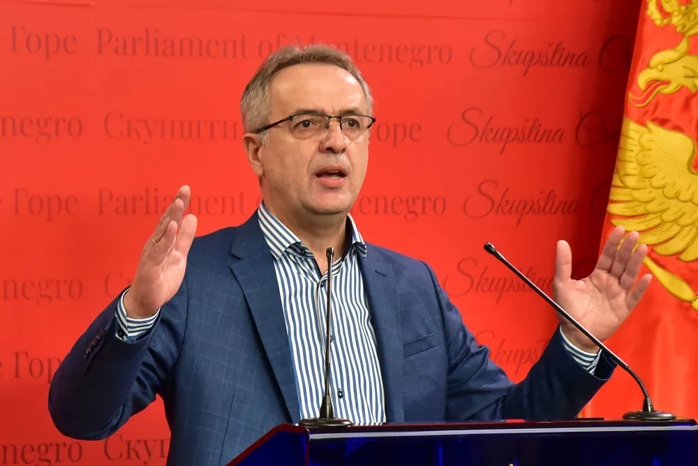 Goran Danilovic
